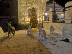 Богородице-Алексиевский монастырь, г. Томска